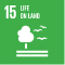 UN SDG Icons