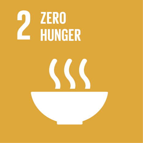 UN SDG Icons