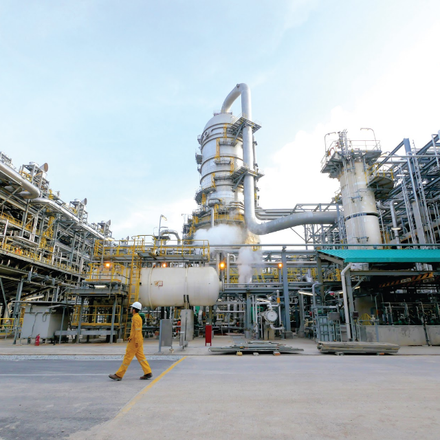 Why Natural Gas PETRONAS Energy & Gas Trading (PEGT)