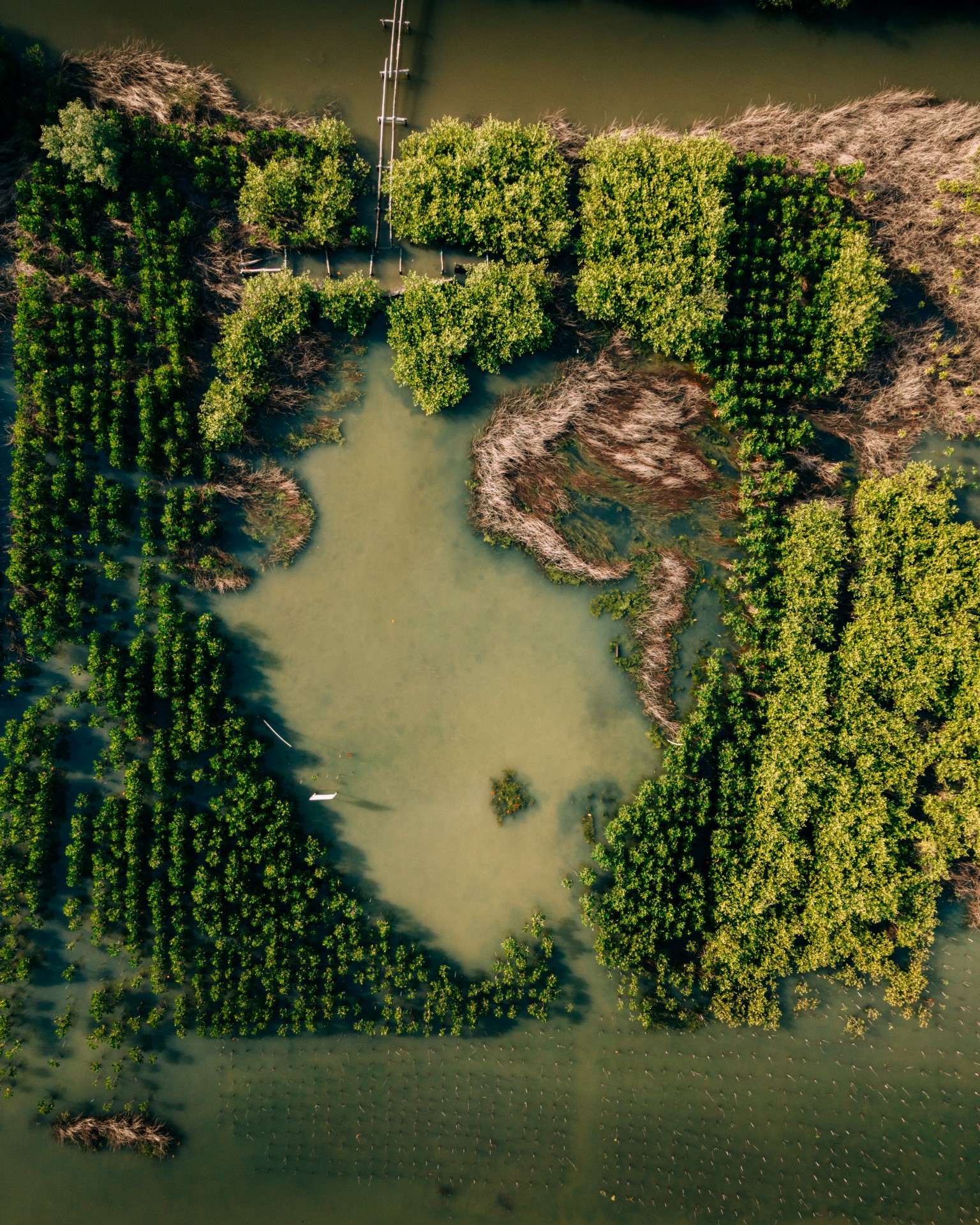 The Spirit of Gresik