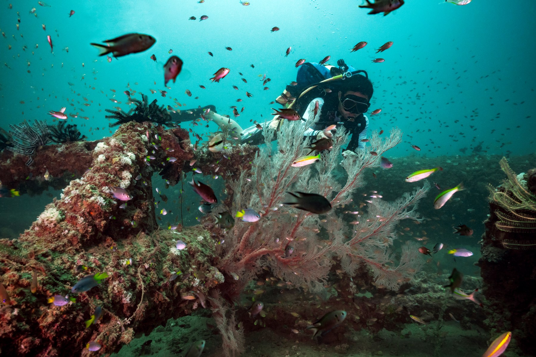 Legacy Beneath the Waves